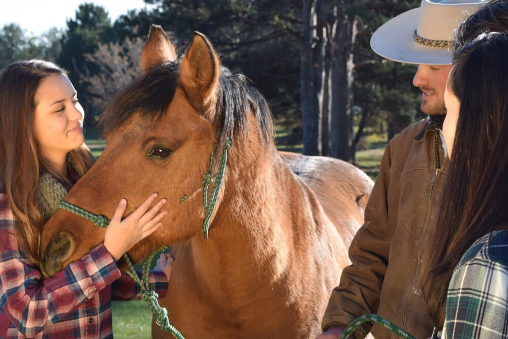 equine-therapy-group equine-therapy-group