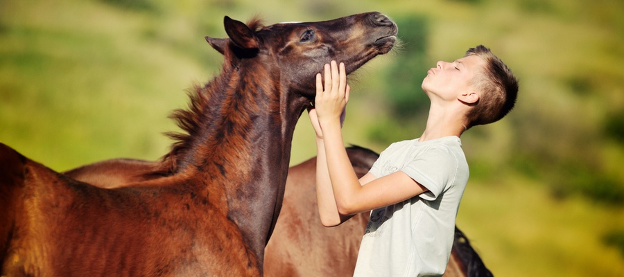 Teen with horse.jpg Teen with horse.jpg