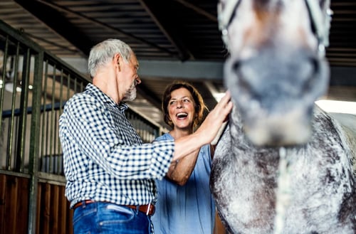 Happy Retired Couple with Horse-2 Optimized