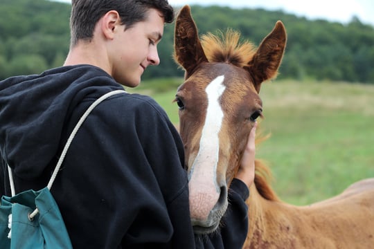 Idaho Youth Ranch Equine Therapy