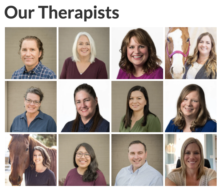 Our Therapists