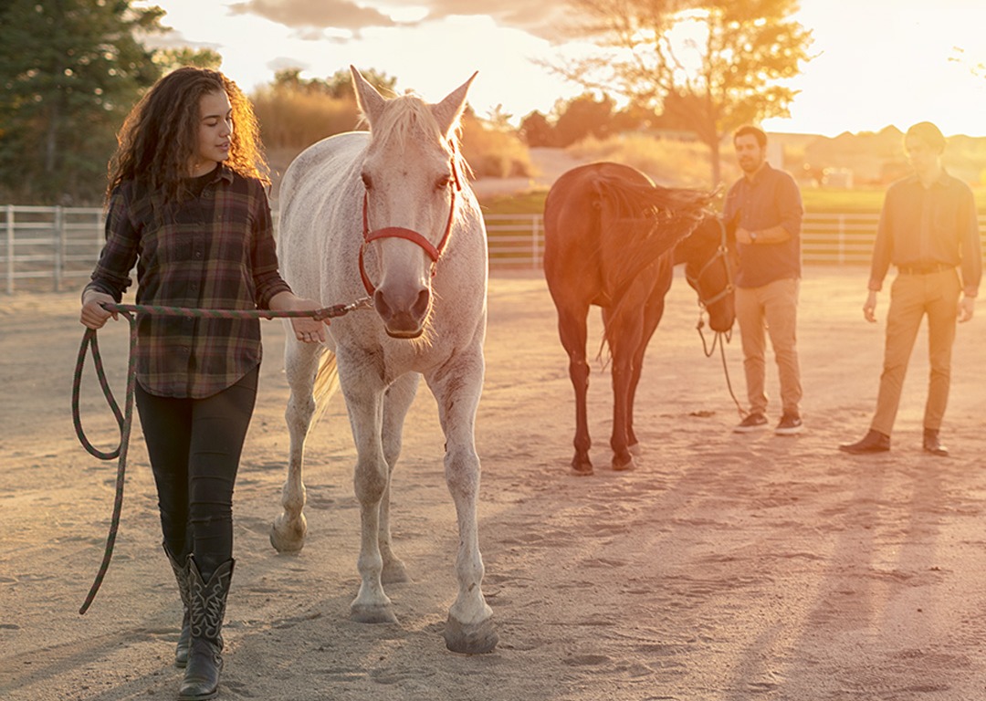 Idaho Youth Ranch Equine Therapy for Teen Anxiety The EAGALA Model