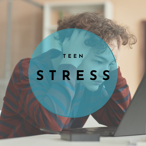 parenting guides for teen stress at idaho youth ran ch