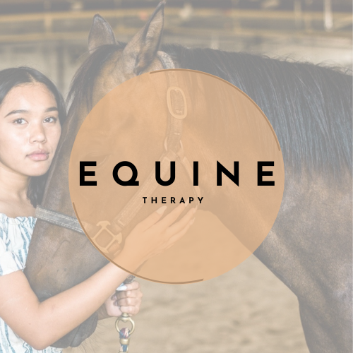 EQUINE therapy EQUINE therapy