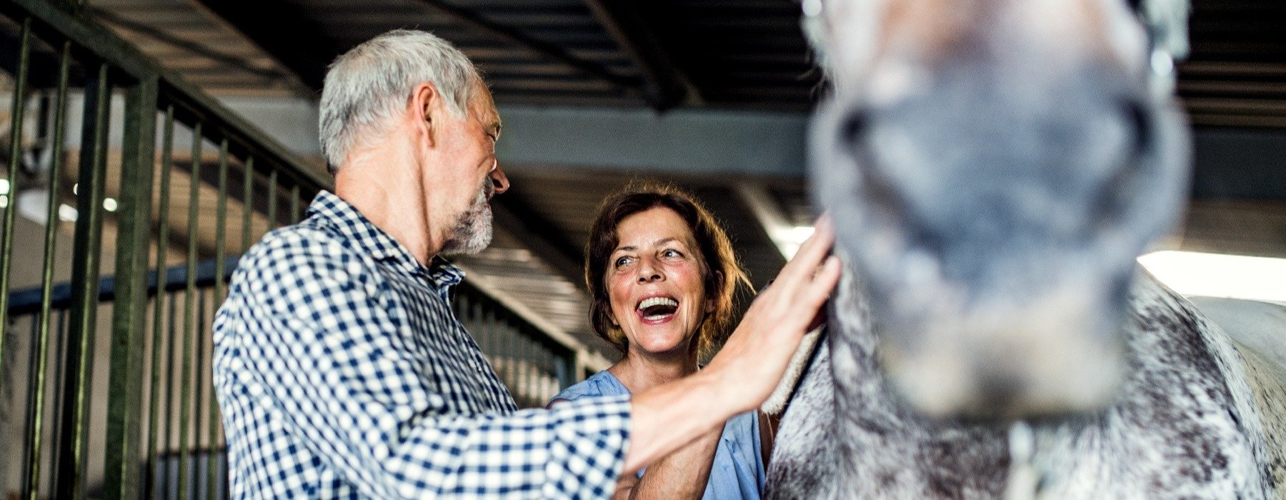Happy Retired Couple with Horse-2