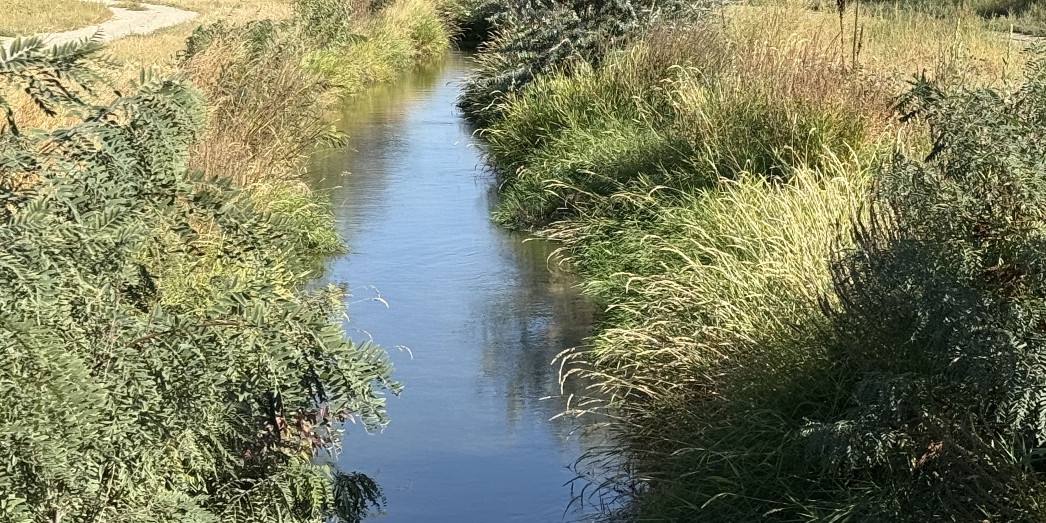 Campus buildings at sunset