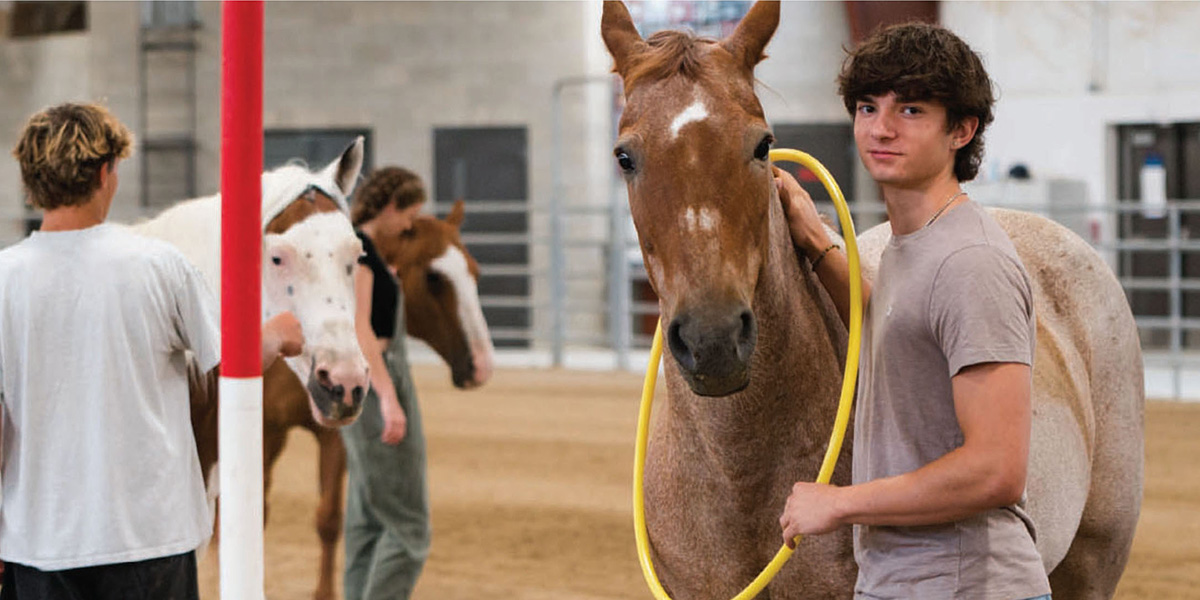 Teen participating in equine therapy