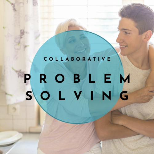 collaborative problem solv ing