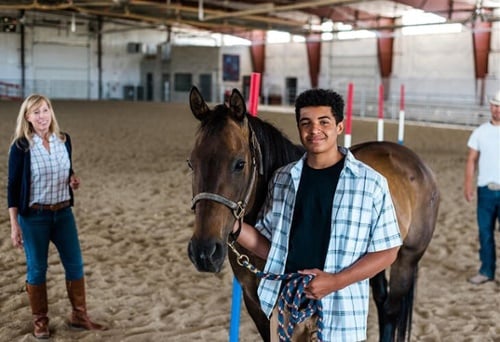 Teenage boy with horse
