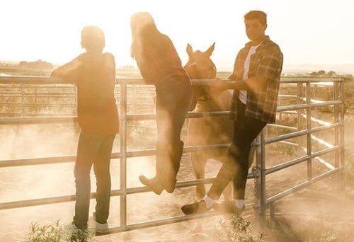 Group of kids watching a horse in a corral 