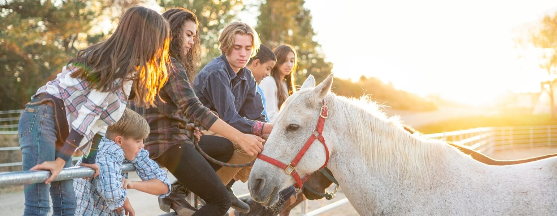 group of kids on fence with horse-2